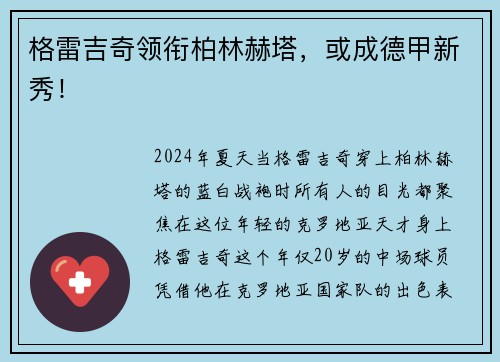 格雷吉奇领衔柏林赫塔，或成德甲新秀！